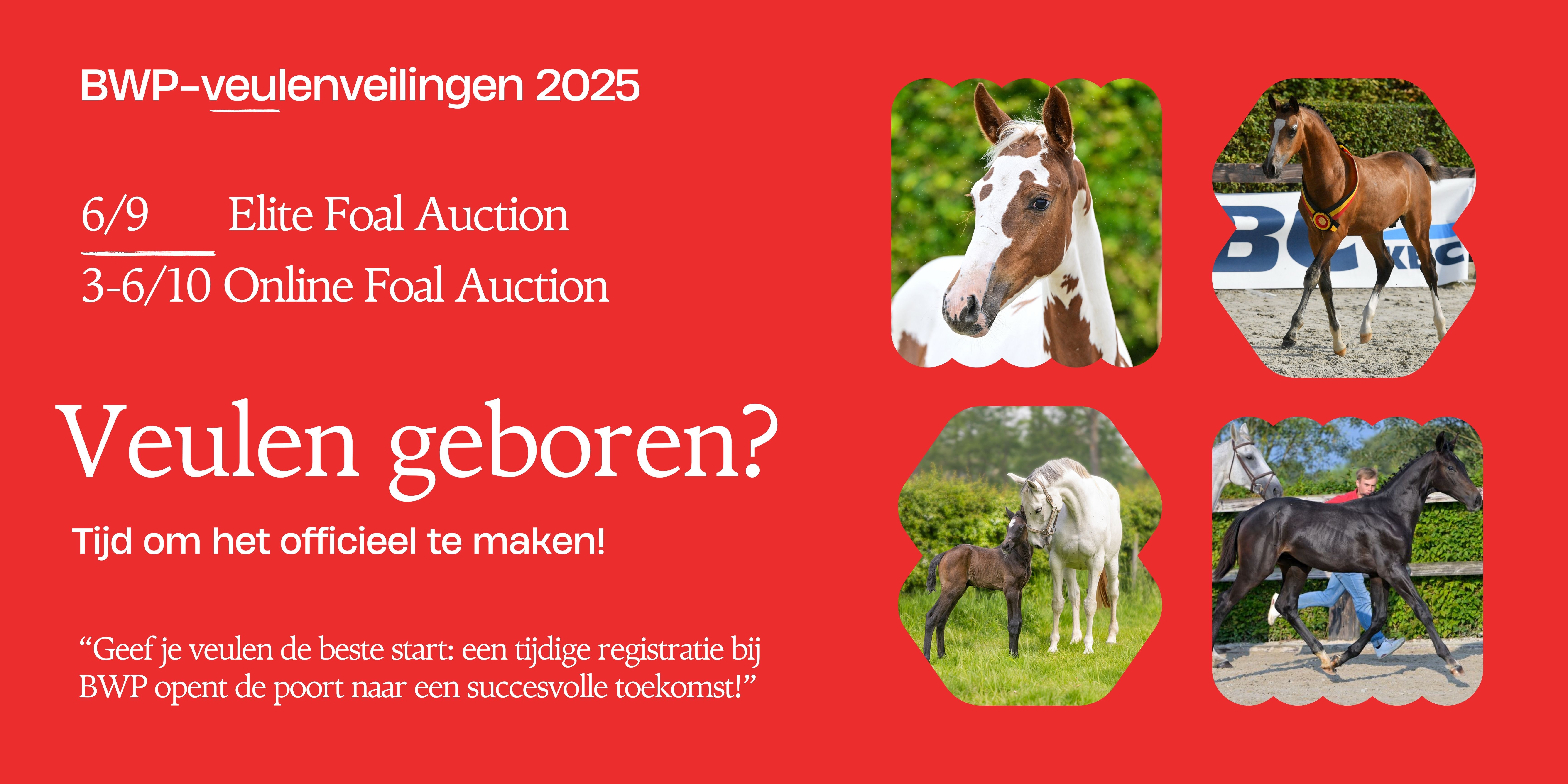auctions