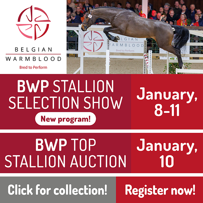 Stallion Selection