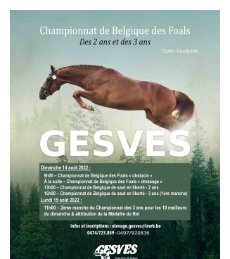 Gesves foals