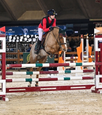 bestgaande rijpony Mechelen