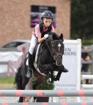 Wedstrijd Bestgaande Rijpony, Pulderbos (Antw & Limb)