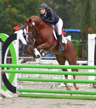 Nationale wedstrijd Bestgaande Rijpony, Woutershof