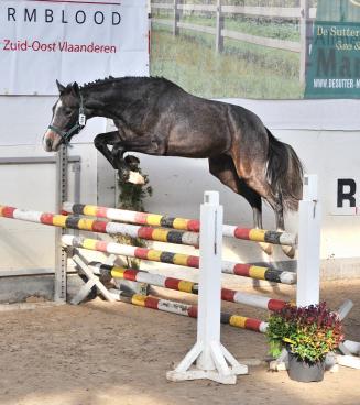 Tweede oefennamiddag vrijspringen BWP Zuid-Oost-Vlaanderen