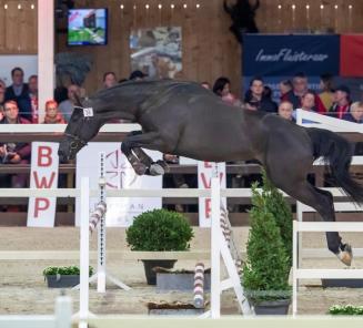 Inschrijvingen BRp-prijskamp Antwerpen open