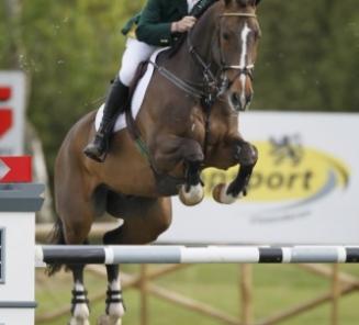 Abberuail vh Dingeshof wint GP Hardenberg!