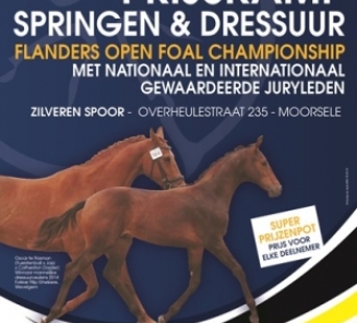 4 Juli 2015: FLANDERS OPEN FOAL CHAMPIONSHIP aangekondigde temperaturen. 4 Juli 2015: FLANDERS OPEN FOAL CHAMPIONSHIP aangekondigde temperaturen.