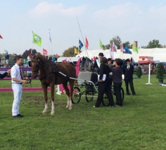 Uitslag aangespannen wedstrijd ? tuigpaarden ? Nationaal Ruitertornooi