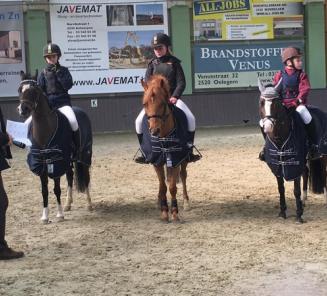 Ponyfokkerij en ponysport in spannende Nabor Cup