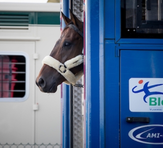 De eerste Belgische paarden voor Rio zijn vertrokken!