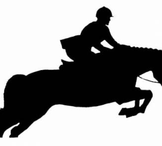 Sam Polleunis wint 1.40 Kronenberg met Holiday vh Taubershof Sam Polleunis wint 1.40 Kronenberg met Holiday vh Taubershof