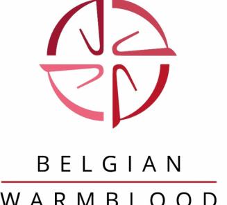 Trailer BWP Top Stallion Auction & BWP Hengstenkeuring 2017 Trailer BWP Top Stallion Auction & BWP Hengstenkeuring 2017