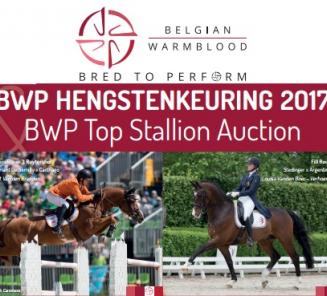 114 hengsten voor BWP Hengstenkeuring 2017