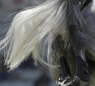 Le cheval BWP, Hannah, sempare du GP de San Giovanni sous la selle de Steve Guerdat