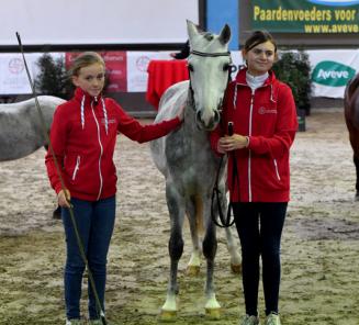 Winnaars beste ponyvoorsteller