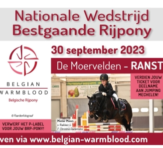 Bestgaande rijpony