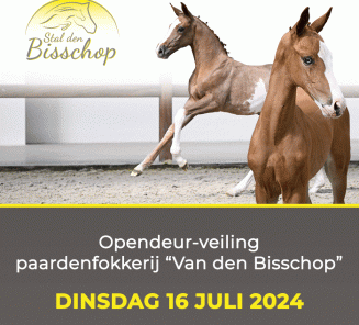 vd bisschop