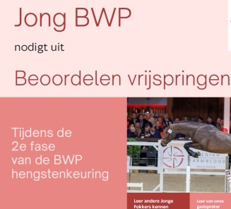 jong bwp op hengstenkeuring