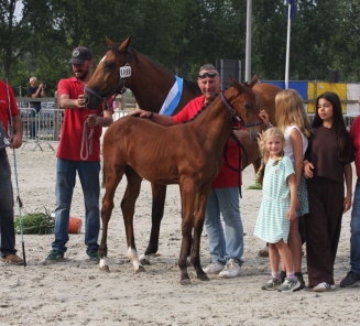 Fokkerijdag Moerbeke