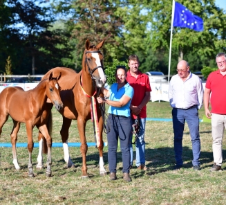 fokkerijdag Evergem Cadence