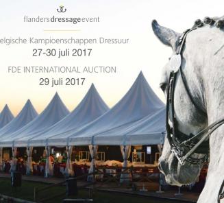 Des prix réalistes lors de la 4ème FDE International Foal Auction