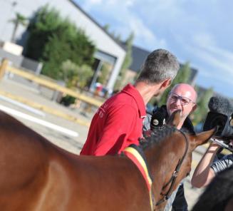 Reportage Nationaal Veulenkampioenschap op HippoTV!