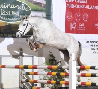 BWP Zuid-Oost-Vlaanderen: bevestiging deelname finale Open Kampioenschap Vrijspringen t.e.m. 25 februari