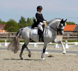 Katrien Verreet & Galliani Biolley winnen Grand Prix CDN Ghlin