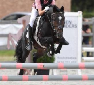 Startlijst en timing wedstrijd bestgaande rijpony Pulderbos online