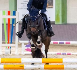 Laatste dagen inschrijven wedstrijd Bestgaande Rijpony!