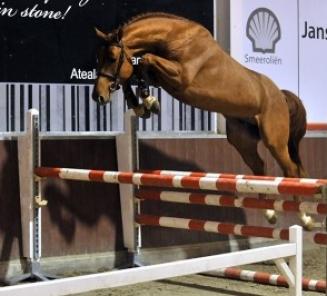 Irenice Horta 3e in Longines International Grand Prix Of Ireland