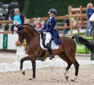 Fil Rouge wint het Belgisch dressuur kampioenschap