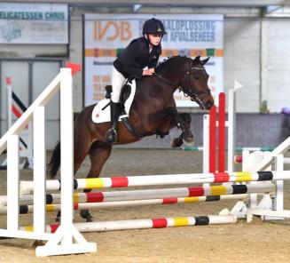 Inschrijvingen Bestgaande Rijpony Brabant en Wallonië van start