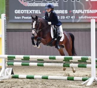 Nationale wedstrijd Bestgaande Rijpony: vrij inschrijven