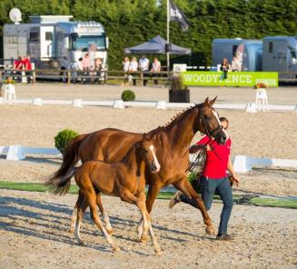 Heartbreaker-dochter naar brons in GP Lier