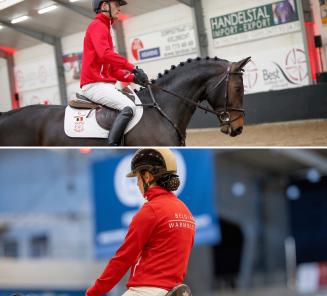 BWP komt met nieuwe veiling voor 4-jarige spring- en dressuurpaarden én ponys!