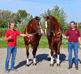 Prize of StädteRegion Aachen  opnieuw succes voor Daniel Deusser