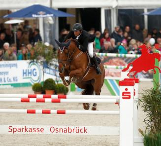 Top prestaties voor Equador van t Roosakkker - 2e Plaats in de Longines Grand Prix en overwinning in Nations Cup te Al Ain (UAE).