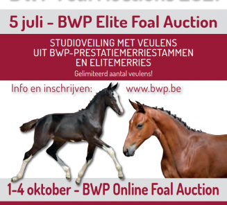 Le BWP organise 2 ventes aux enchères de poulains cette année!