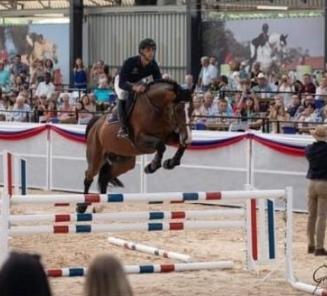 Obama van het Keizershof topper op Capital Stud veiling in Zuid-Afrika