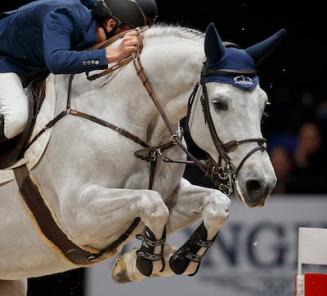 Brons in de Grand prix voor Gin Chin van het Lindenhof