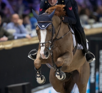 Le BWP toujours le meilleur stud-book du monde!