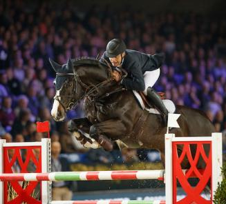 Hengsten in Mechelen: Le Blue Diamond van t Ruytershof wint de 6-jarigen!