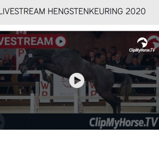 Volg de Hengstenkeuring via de Livestream