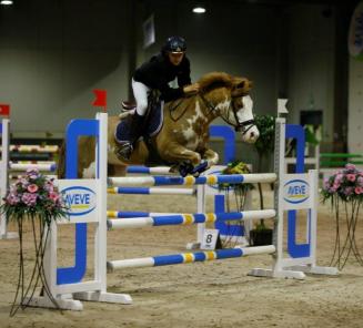 BRp-pony's halen nationale titels op de nationale ponyindoor van LRV in de hoogste klassen BL, CM en DM