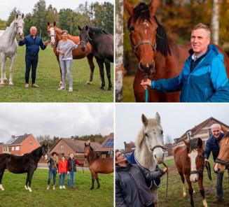 Ook uw stam in EquiTime?