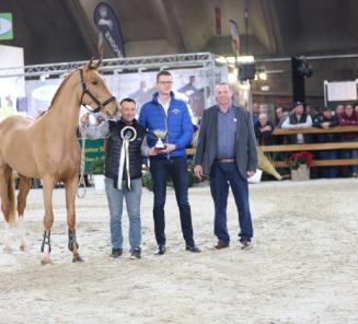 BWPer Pop Star vd Schelpenhoeve beste in finale vrijspringen Mechelen