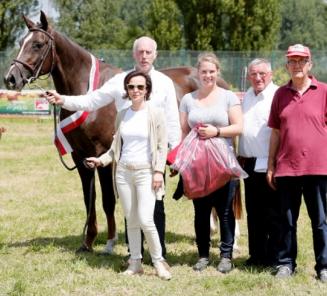 Inschrijvingen Prijskamp & Open Vlaams Veulenkampioenschap Zuid-Oost-Vlaanderen open